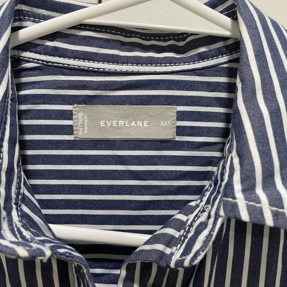 Everlane Daytripped Blue Pinstripe Button Up Shirt Dress - Picture 7 of 11